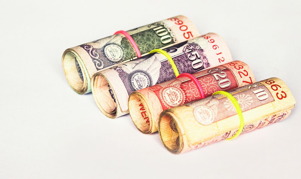 How to Grow a Money Tree: What Are the Secrets & What Should You Know?

