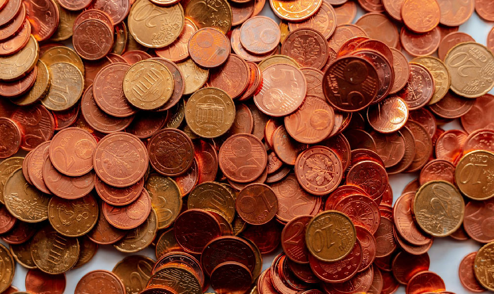 How did Brian Johnson earn his wealth, and what were his revenue streams?